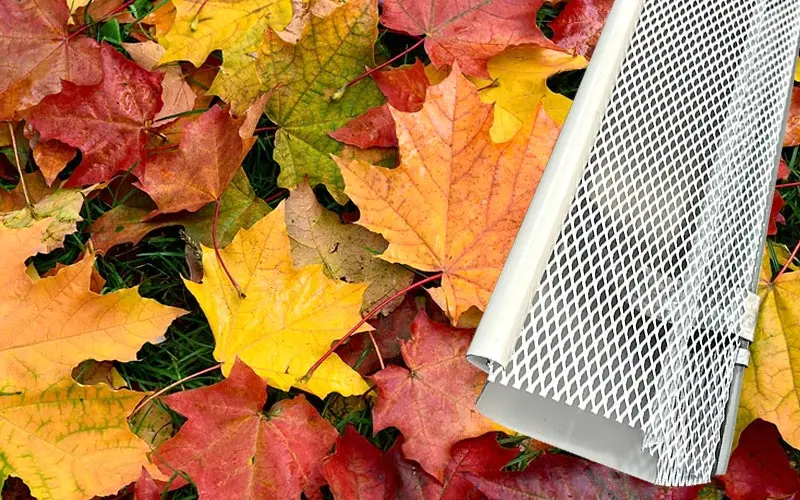 Mesh gutter guard over autumn leaves, showing leaf protection